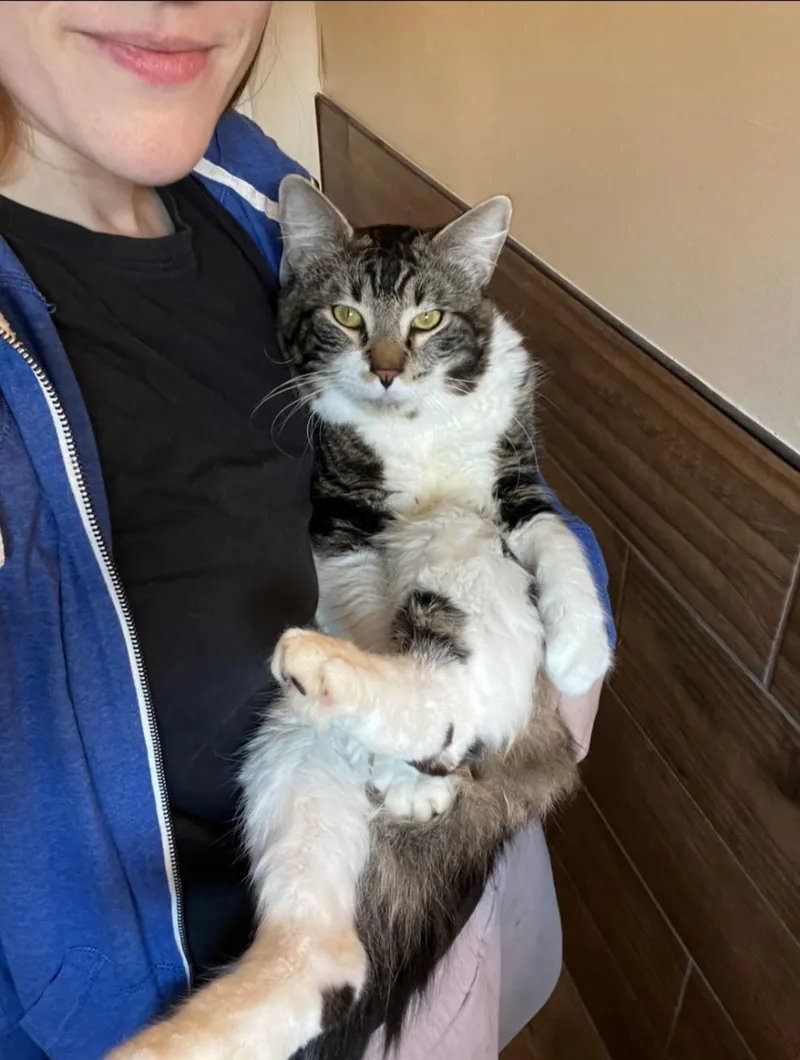 Kingfisher thumbnail 2