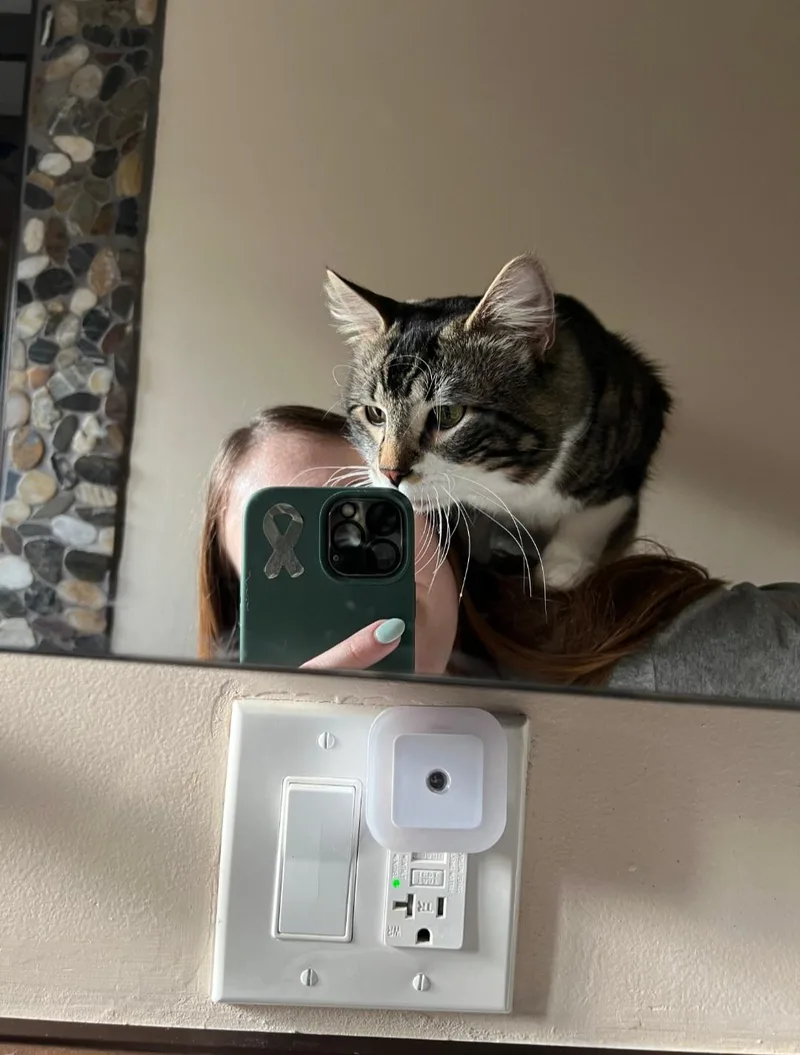 Kingfisher thumbnail 5