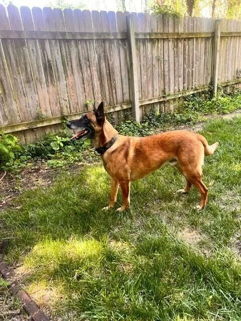 Dozer Located in Kansas thumbnail 2