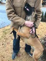 Dozer Located in Kansas thumbnail 3