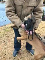 Dozer Located in Kansas thumbnail 4