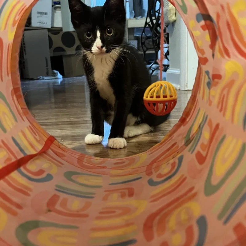Missy thumbnail 2