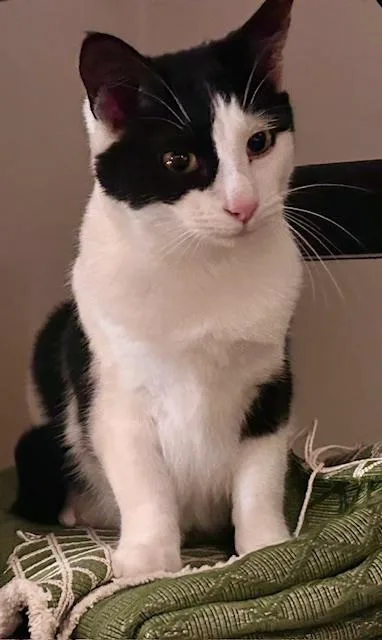 Tammy Wynette thumbnail 3