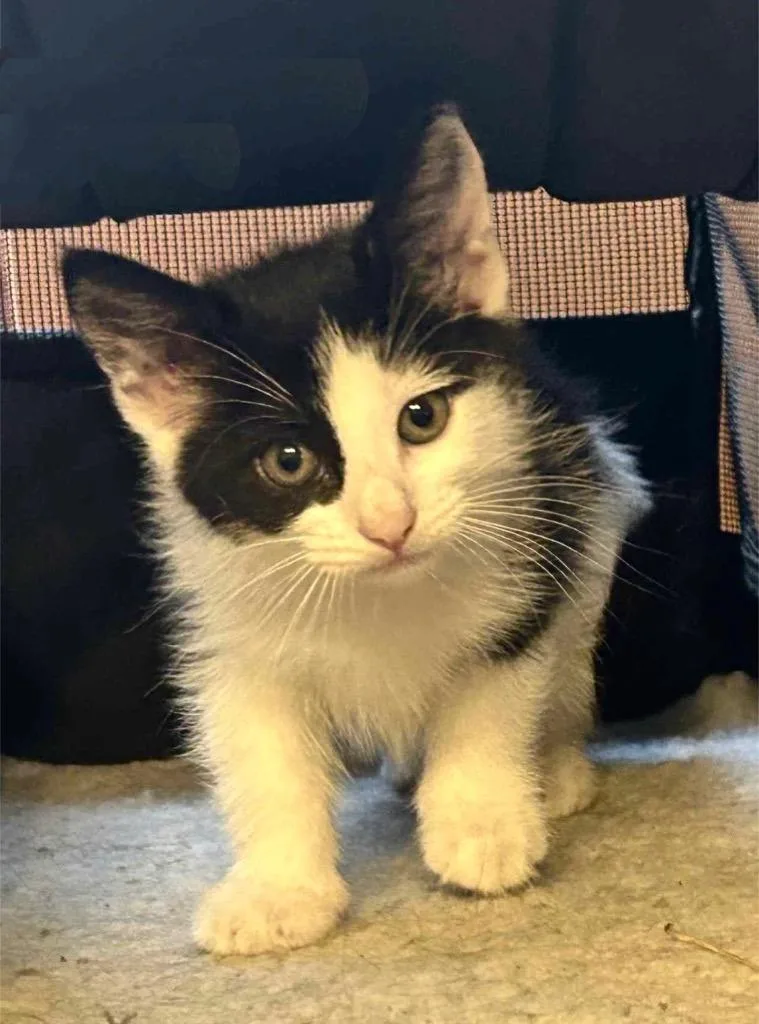 Tammy Wynette thumbnail 5