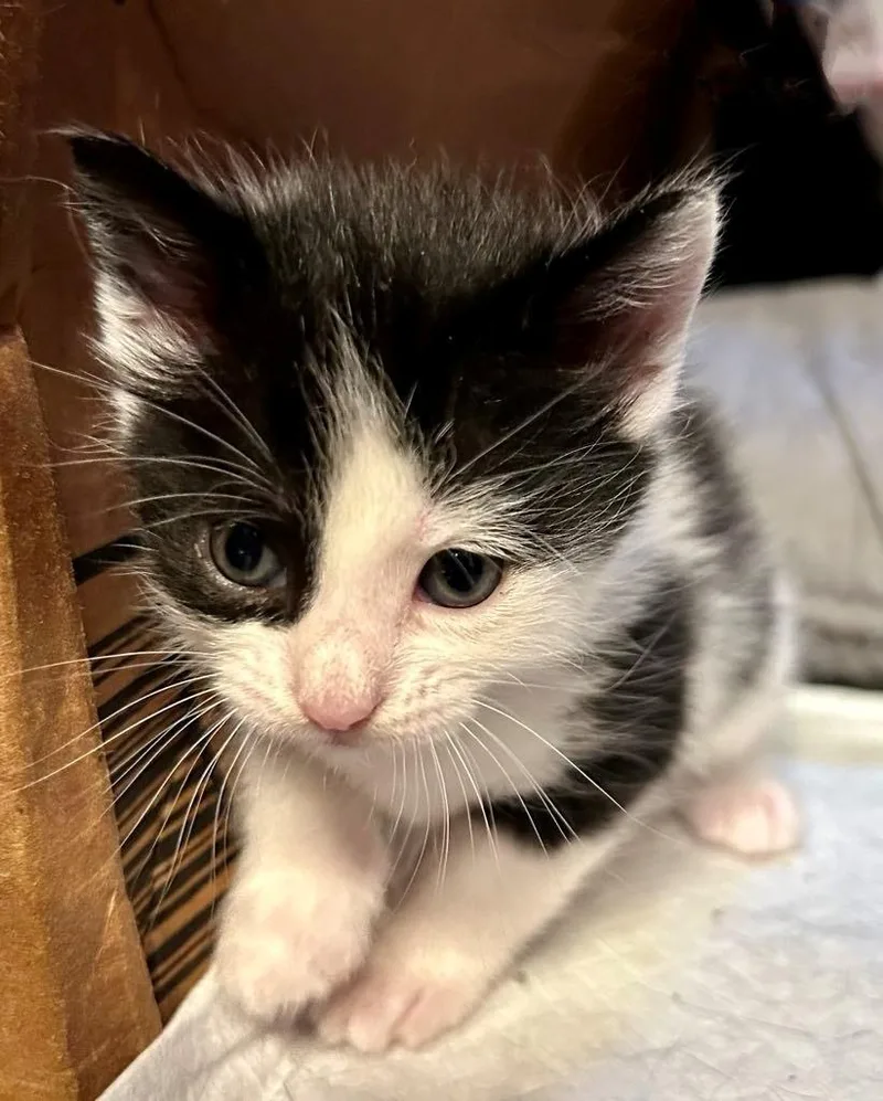 Tammy Wynette thumbnail 6