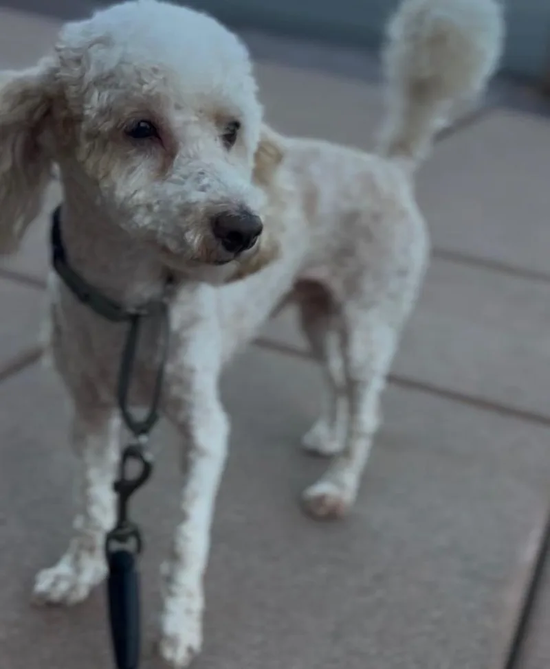 Jax