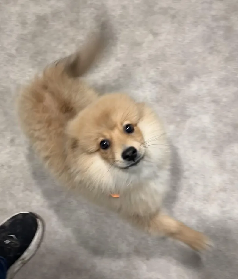 Andy thumbnail 3