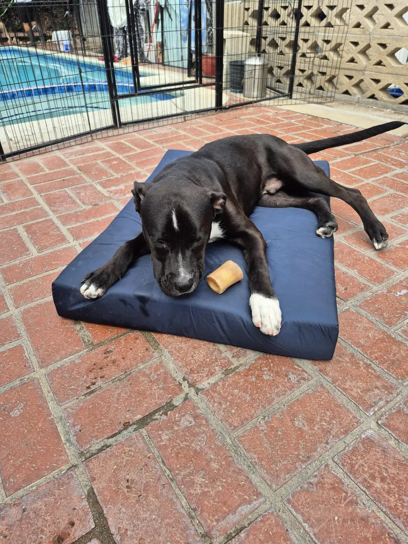 My Name Is Luca thumbnail 2