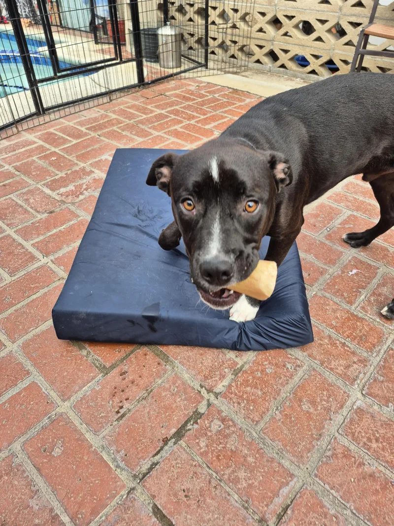 My Name Is Luca thumbnail 3