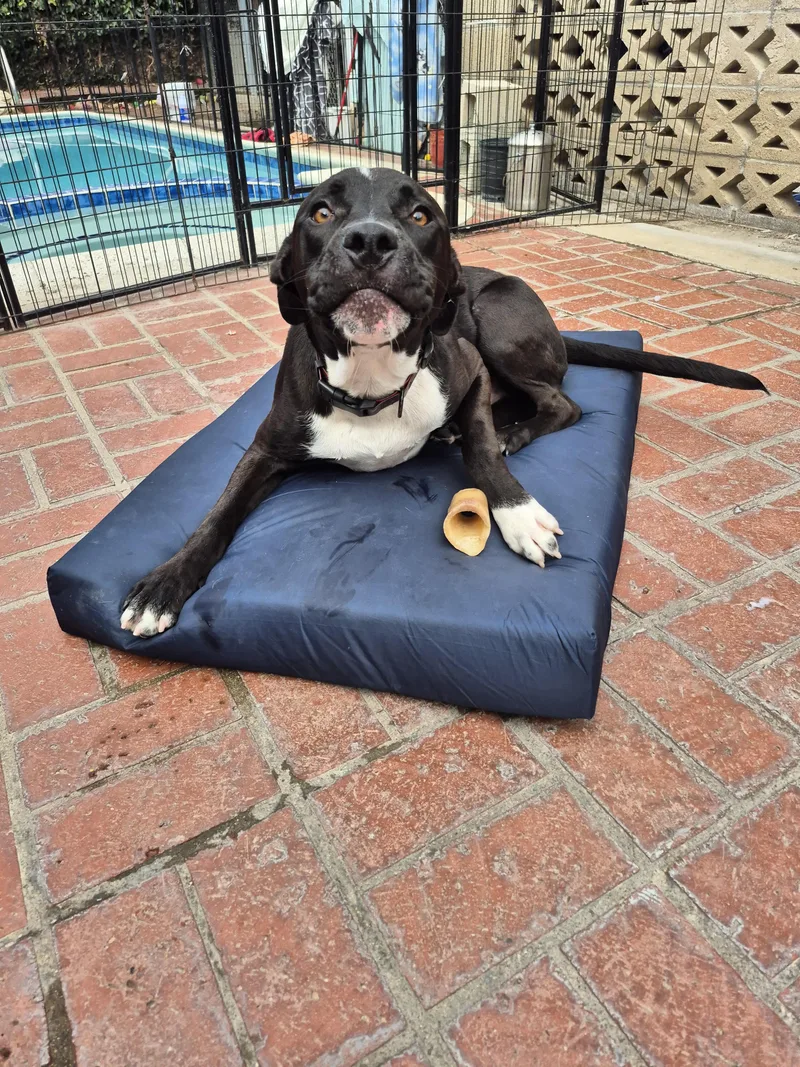 My Name Is Luca thumbnail 4