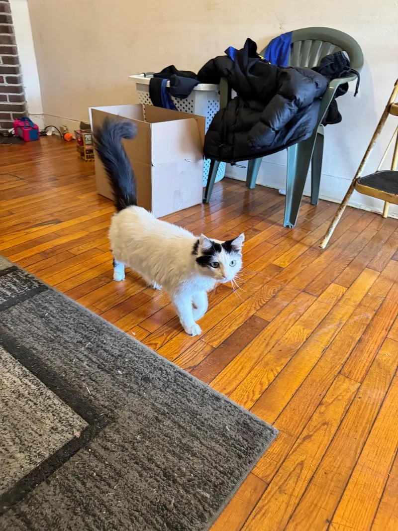 Fluffer Nutter thumbnail 3