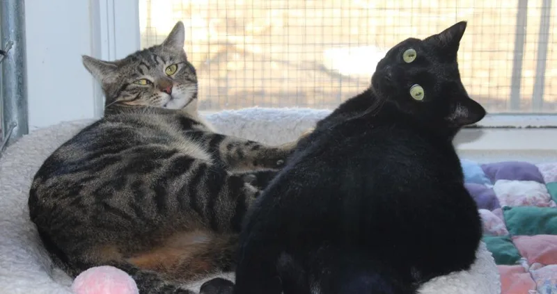 Mama Twirl thumbnail 4