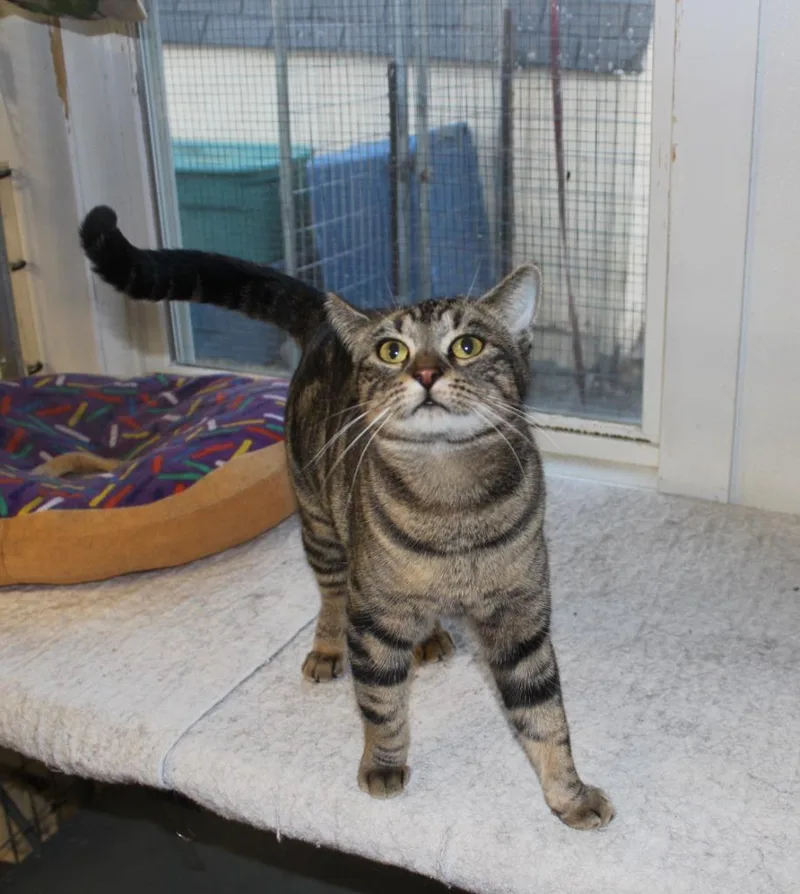 Mama Twirl thumbnail 5