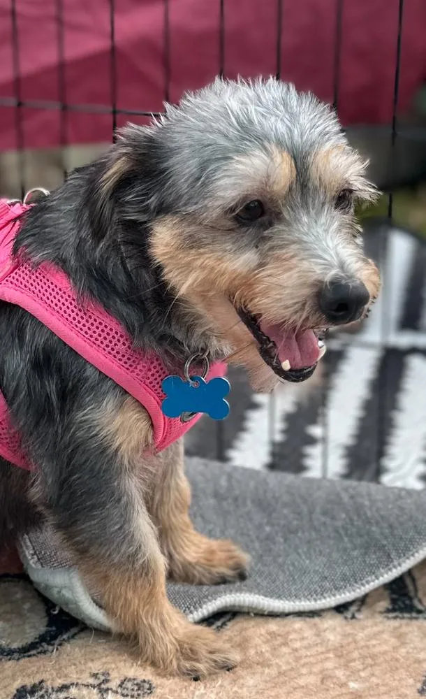 Winnie
