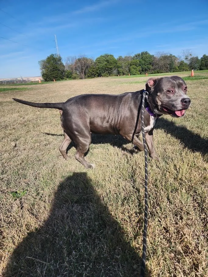 Princess thumbnail 2