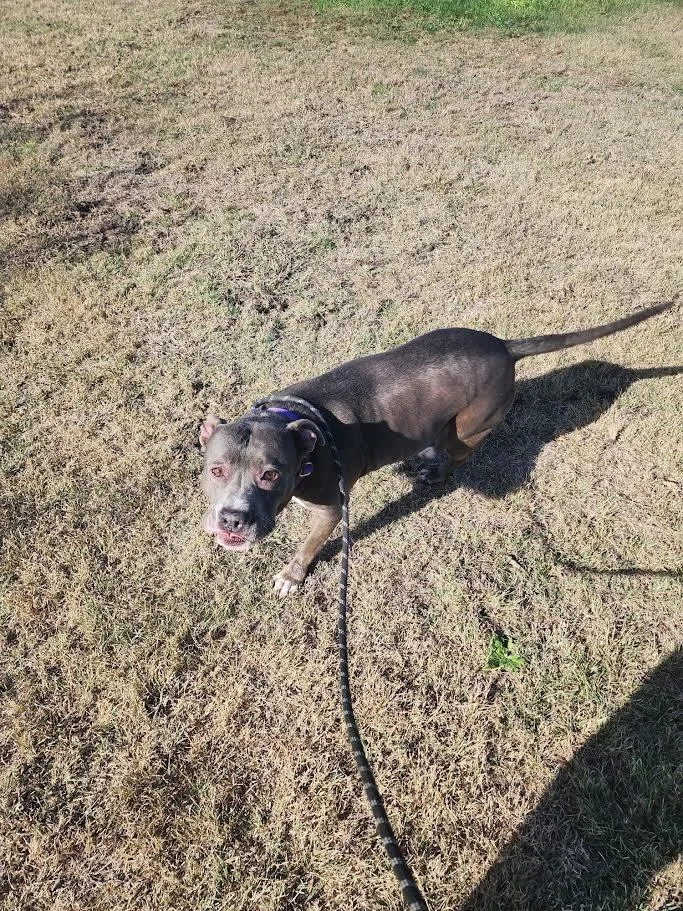 Princess thumbnail 3