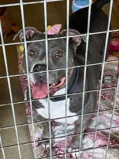 Princess thumbnail 6