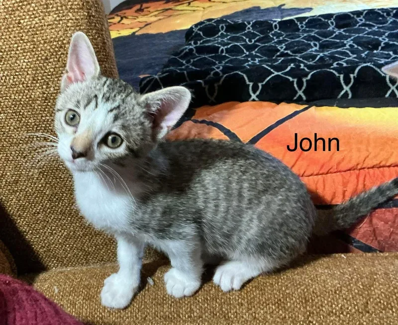 John thumbnail 2