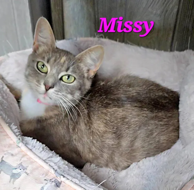 Missy