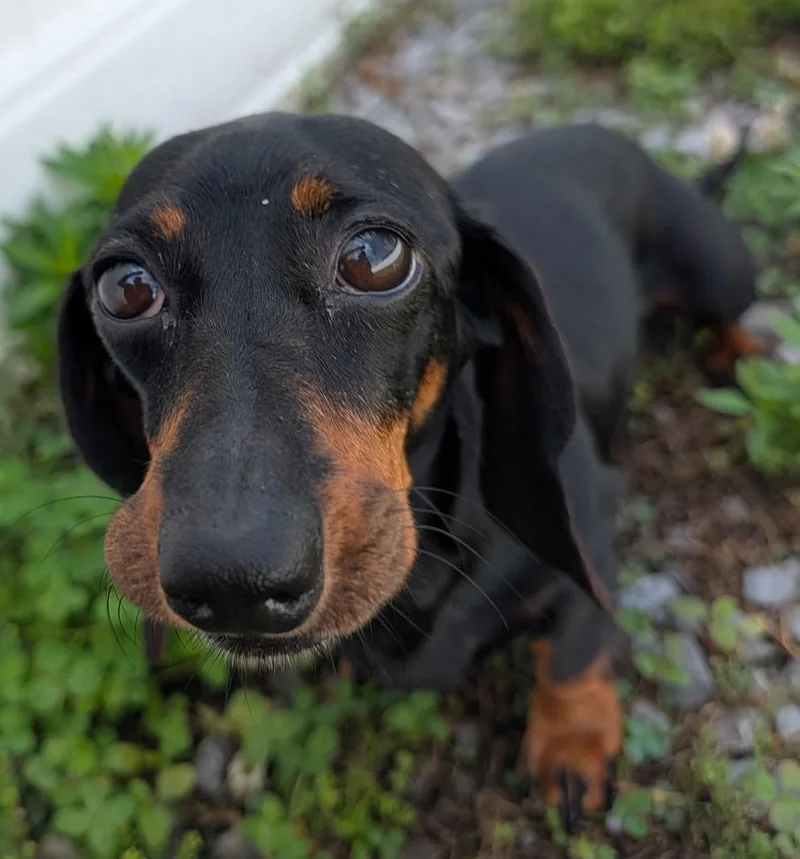 Malorie in FL thumbnail 2