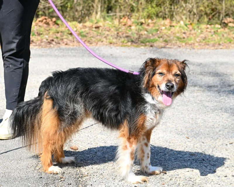 Bernie & Benji thumbnail 2