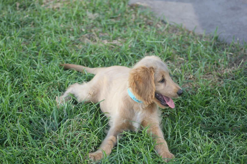 Macie thumbnail 2