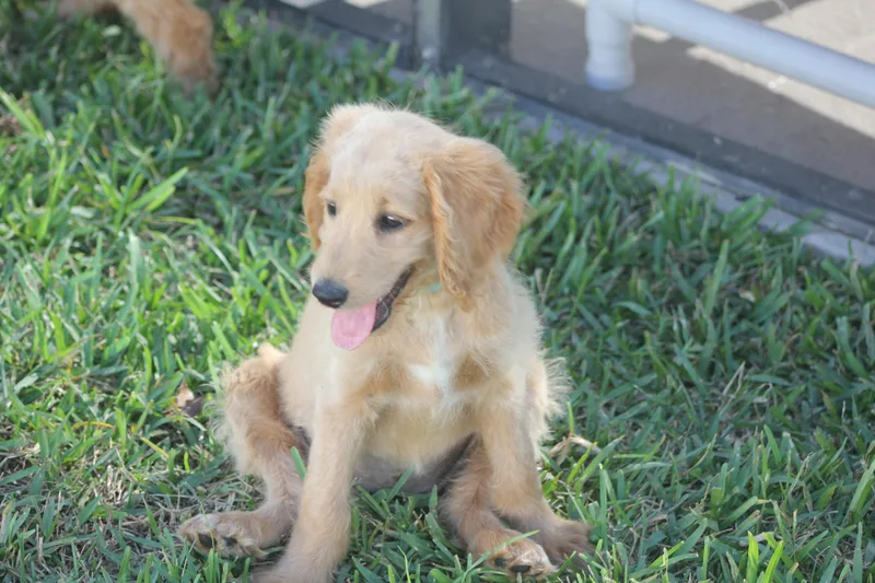 Macie thumbnail 4