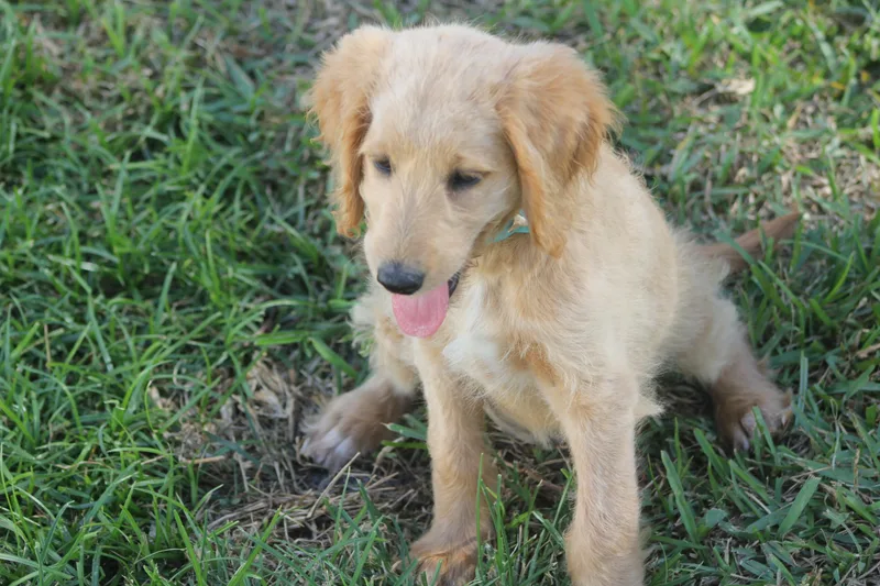 Macie thumbnail 5