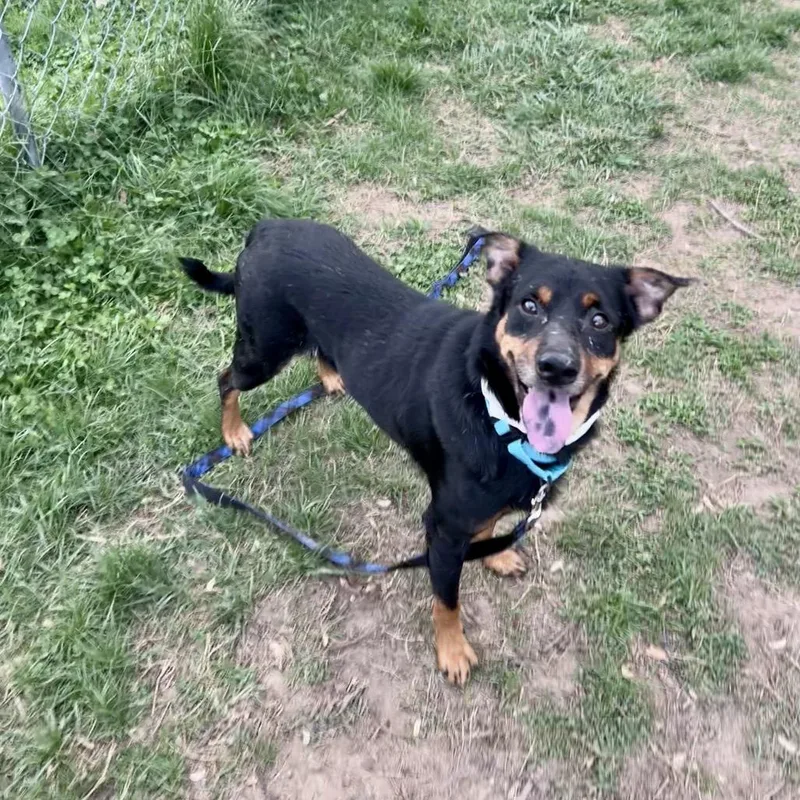 Las Vegas thumbnail 2