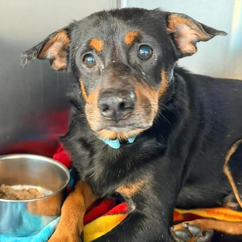 Las Vegas thumbnail 3