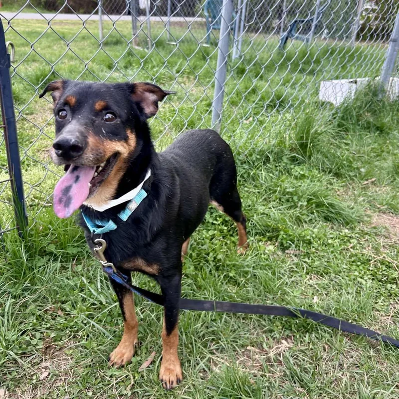 Las Vegas thumbnail 4