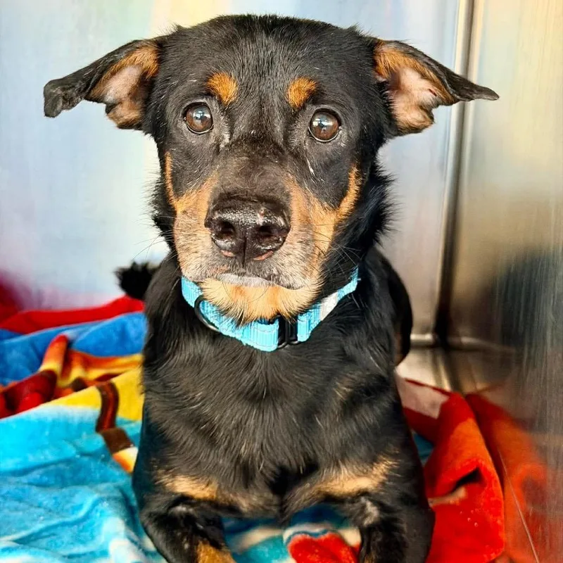 Las Vegas thumbnail 5