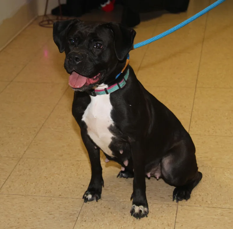 Scratchy thumbnail 3