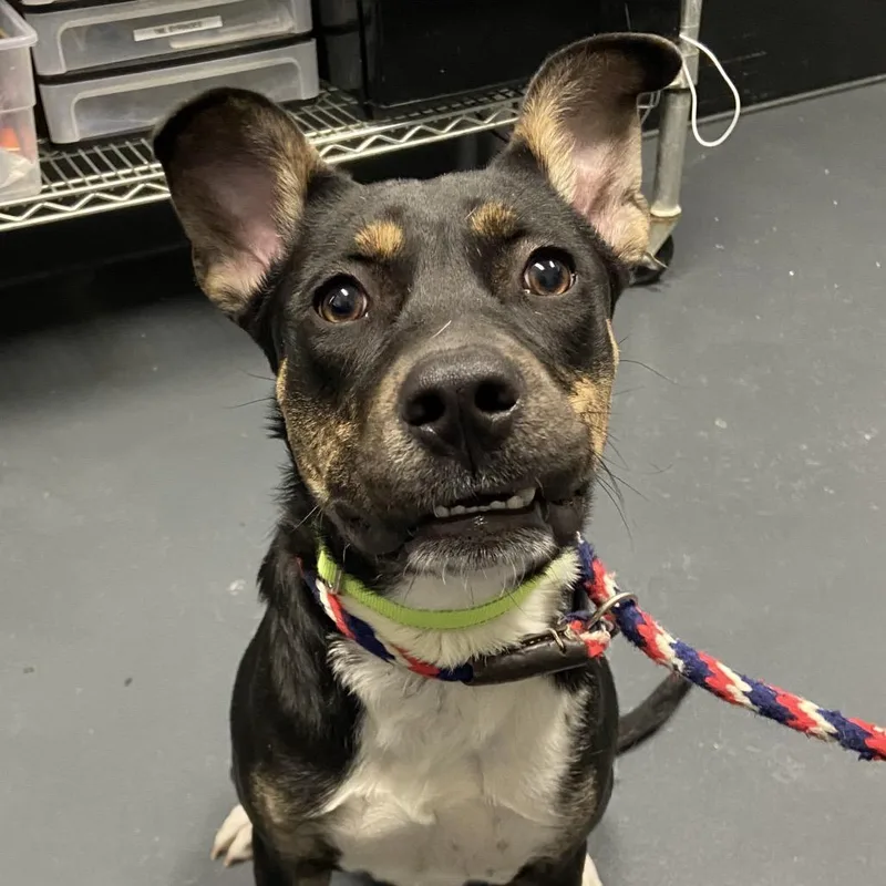 Sally O'malley thumbnail 2