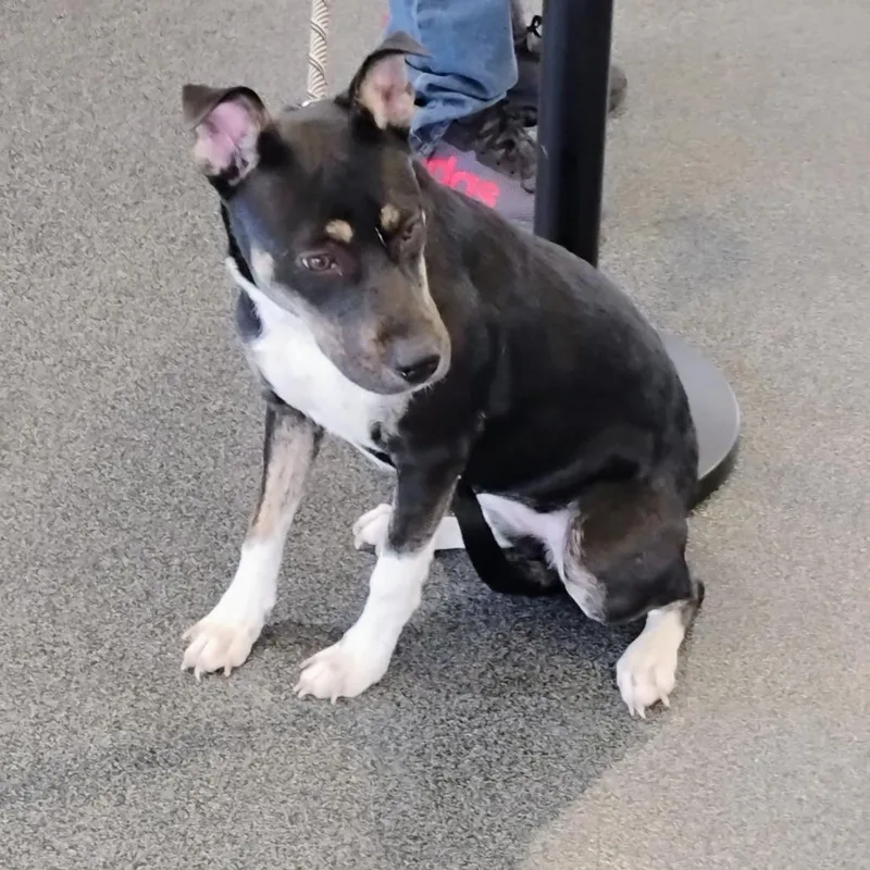 Sally O'malley thumbnail 3