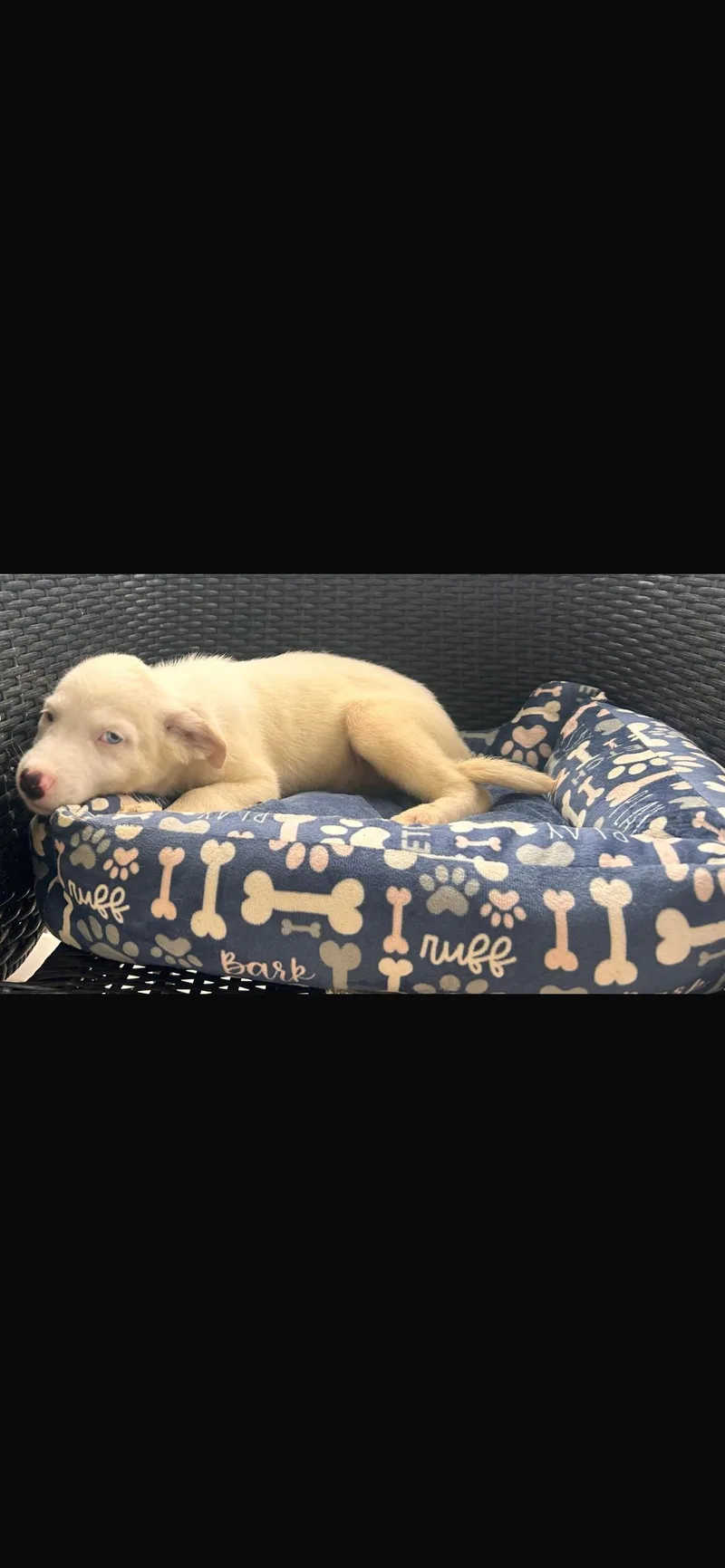 Peaches thumbnail 3