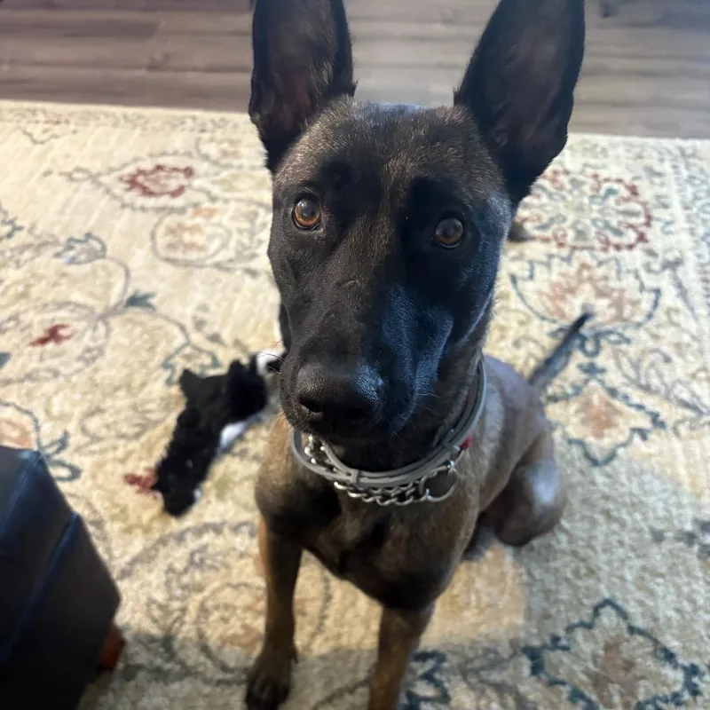 Riley Bia thumbnail 3