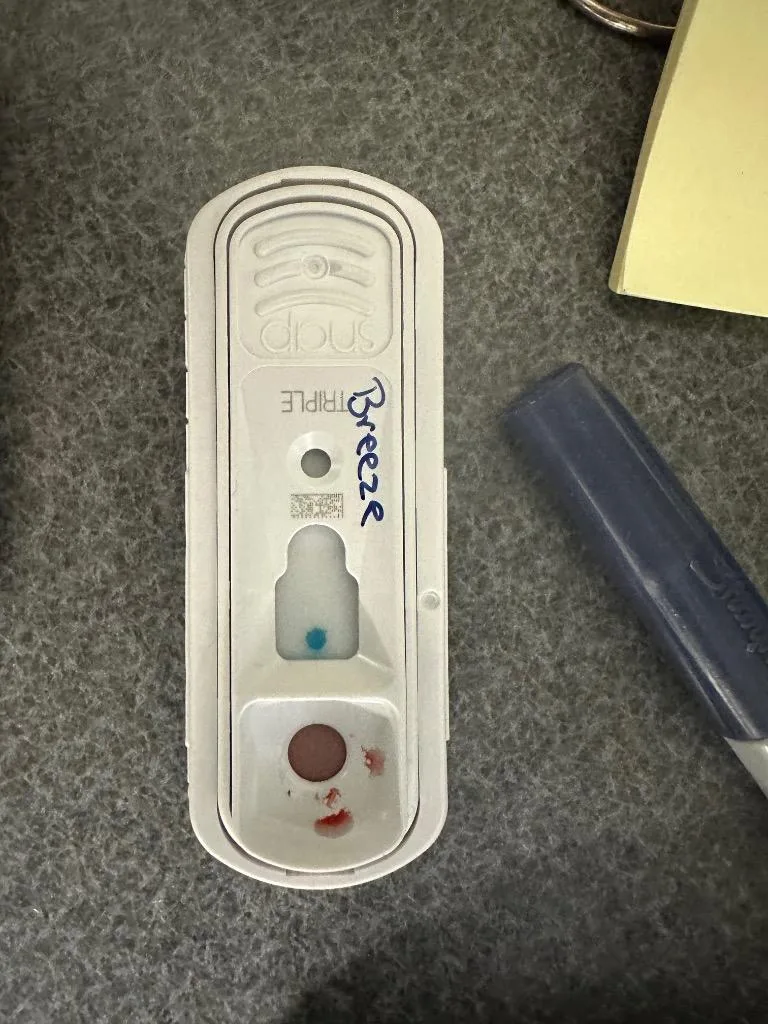 Breezemocha thumbnail 3