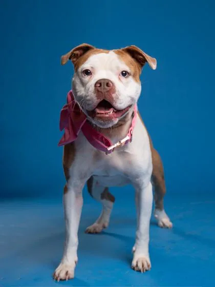 Suhweetie thumbnail 2