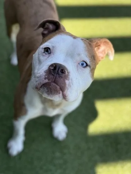 Suhweetie thumbnail 3