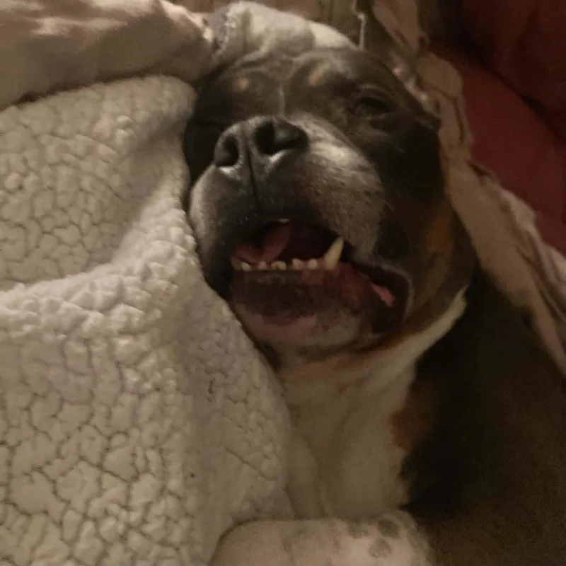 Leroy