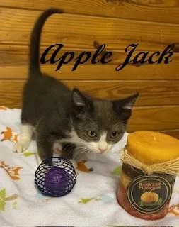 Apple Jack thumbnail 2