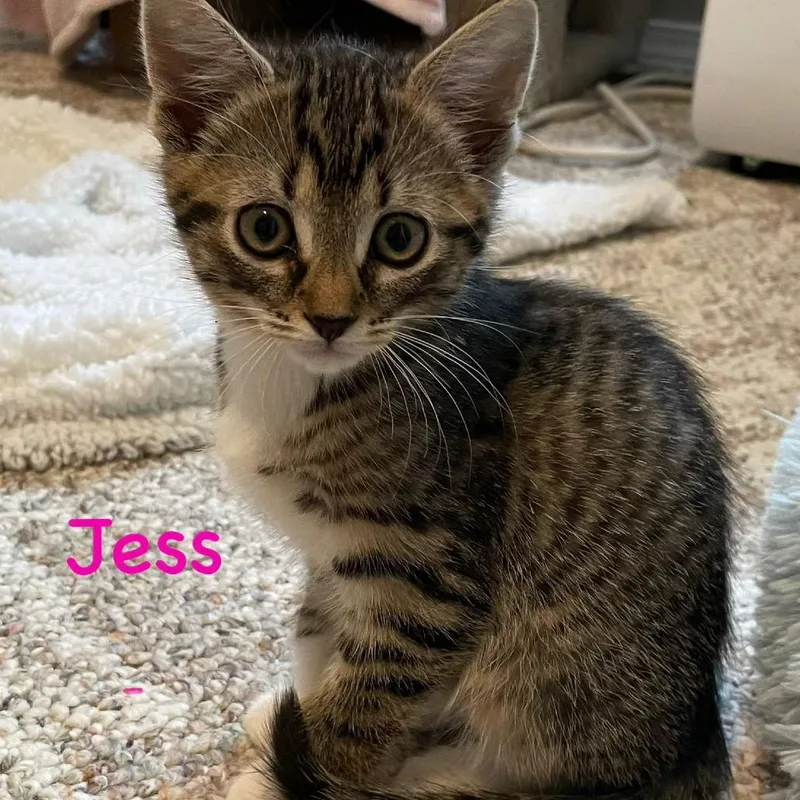 Jess thumbnail 3