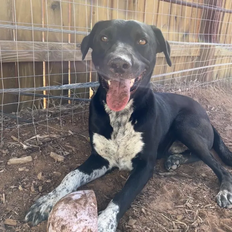 Juicebox thumbnail 2