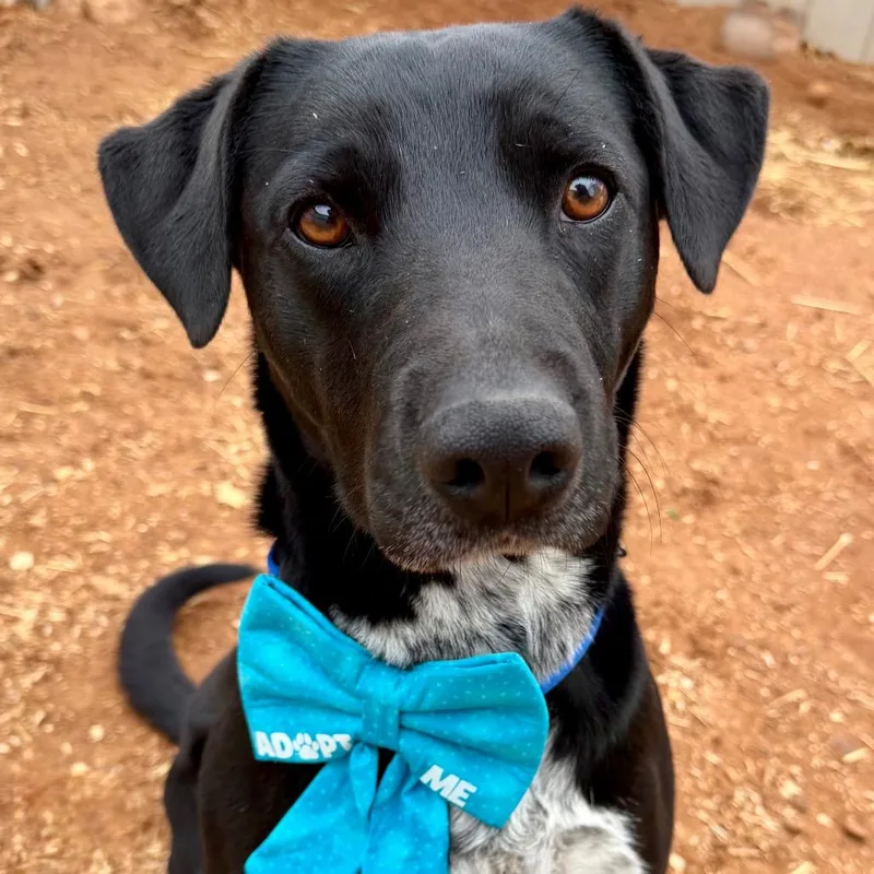 Juicebox thumbnail 5