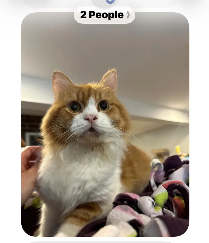Sam thumbnail 3