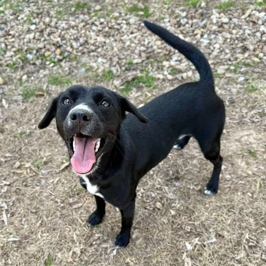 Love Story thumbnail 3