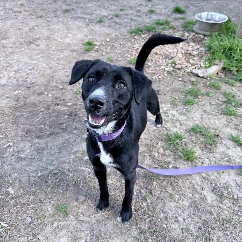 Love Story thumbnail 4