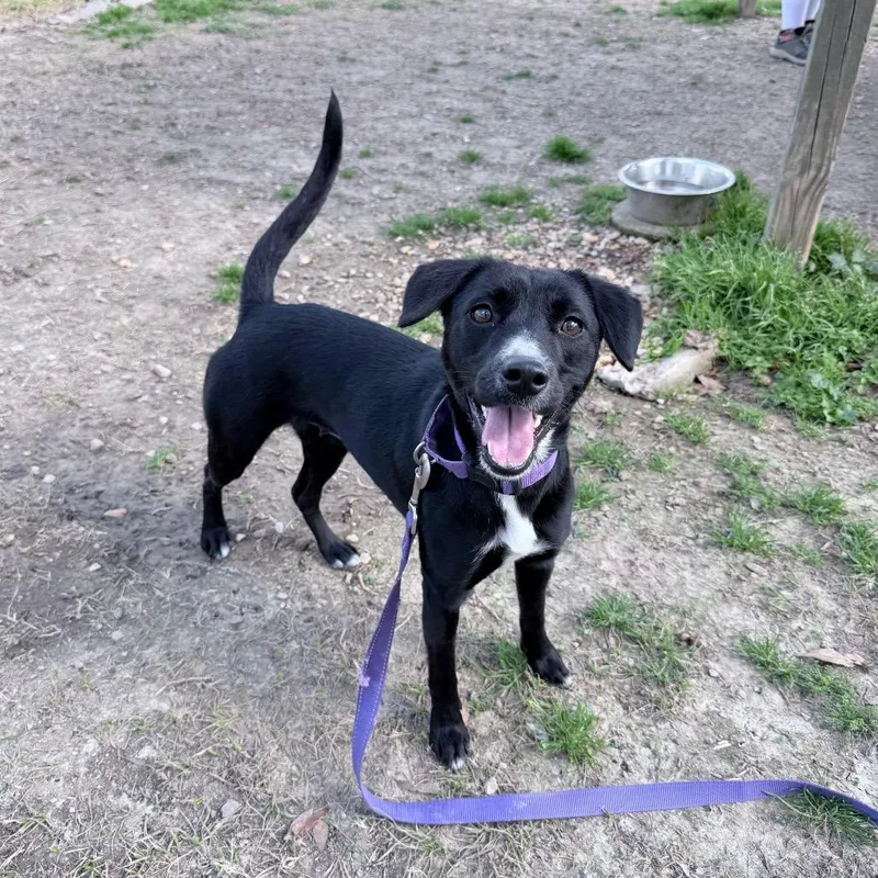 Love Story thumbnail 5