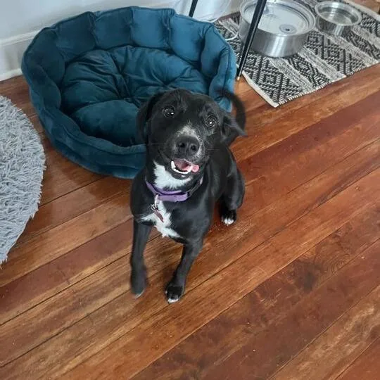 Love Story thumbnail 6